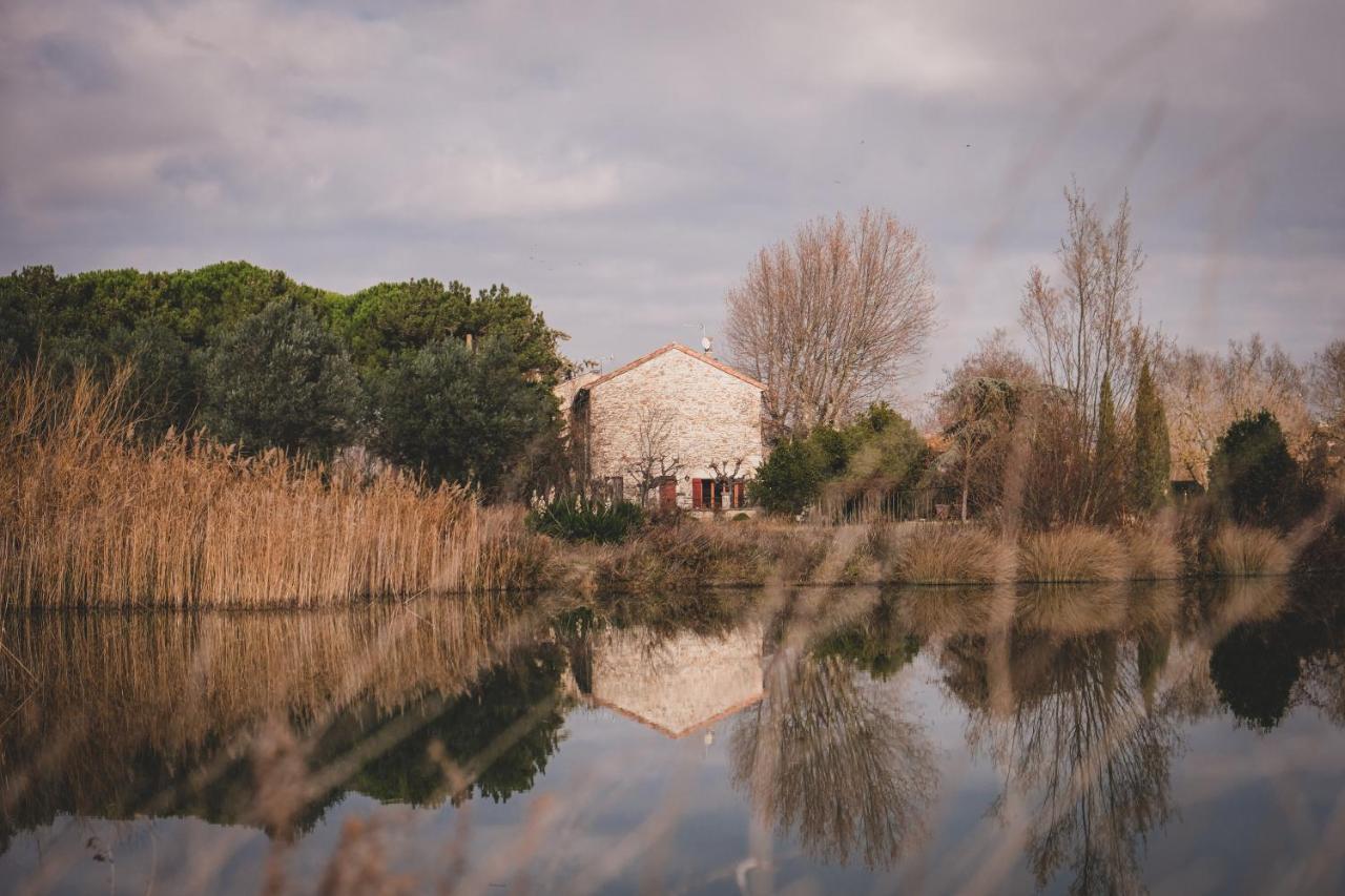 Waya A Domaine Saint Domingue Bed and Breakfast Narbonne Buitenkant foto